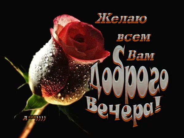 Хорошего дня на армянском. Хорошего вечера на армянском. открытки с добрым вечером на армянском языке. открытки добрый вечер на армянском. добрый вечер на азербайджанском.