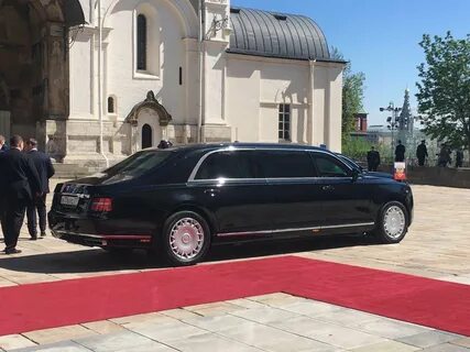 Путинский аурус