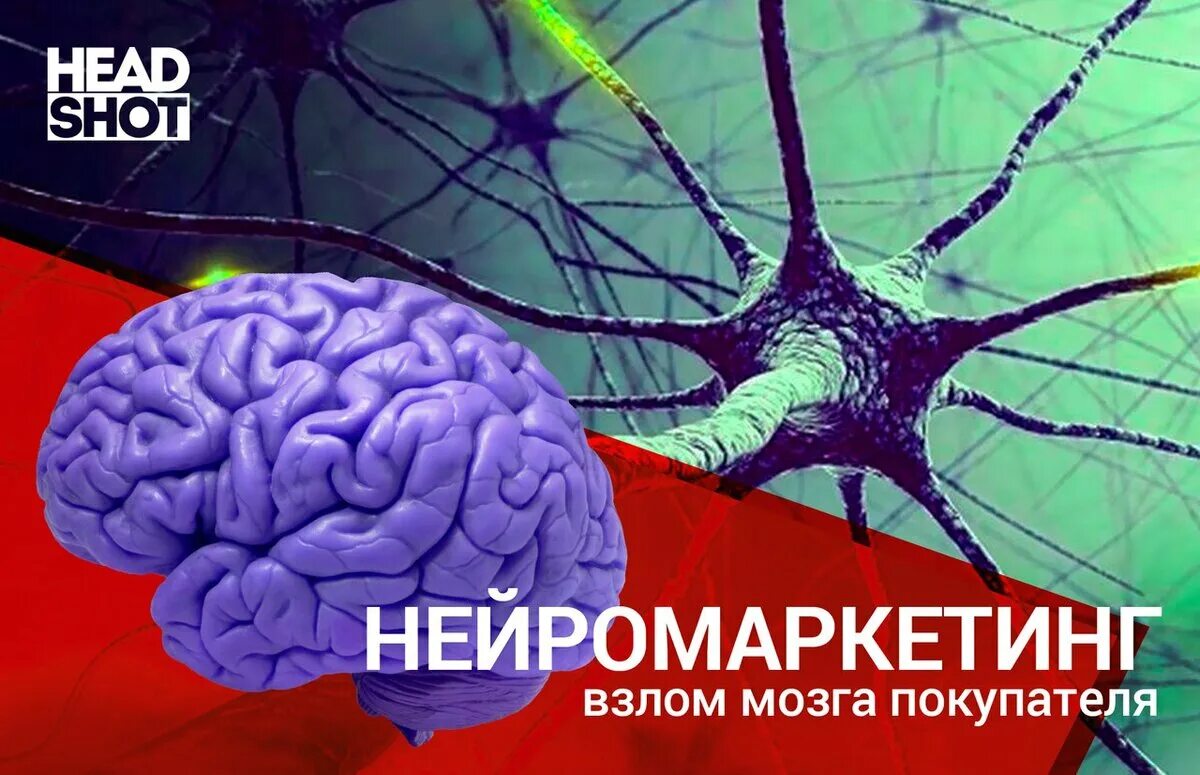 Взломанный brain. Нейромаркетинг. Недомаркетолог. Мозг покупателя. Хакнуть мозг.