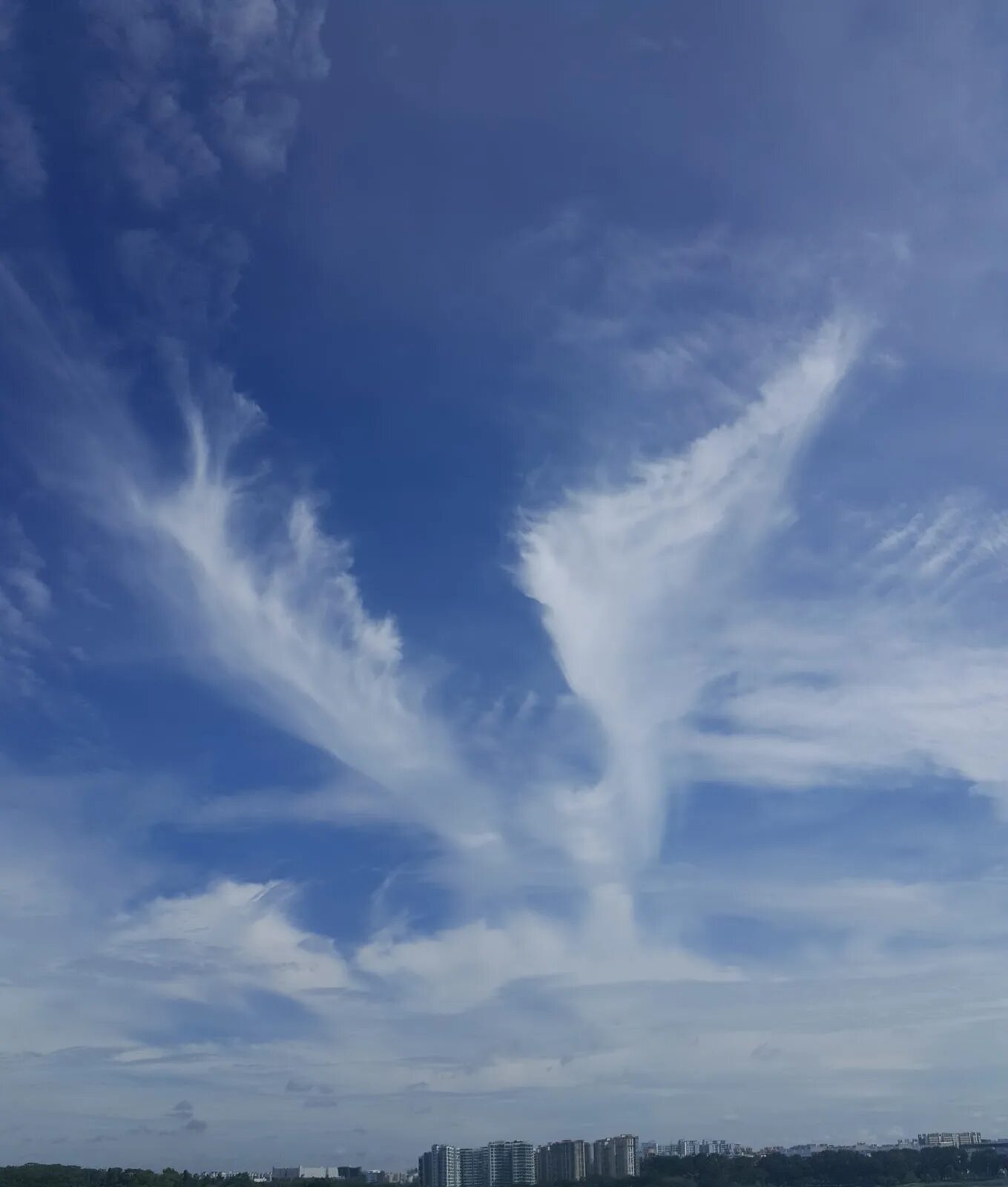 Free photos: Halo - 8 images, Halo photos, Halo pictures - Jooinn