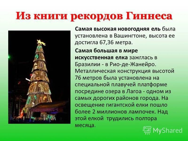 Самый большой рассказ в мире. Самая высокая ёлка в мире. Самая большая Новогодняя елка в мире. Самая большая елка книга рекордов. Самая большая в мире елка 2009.