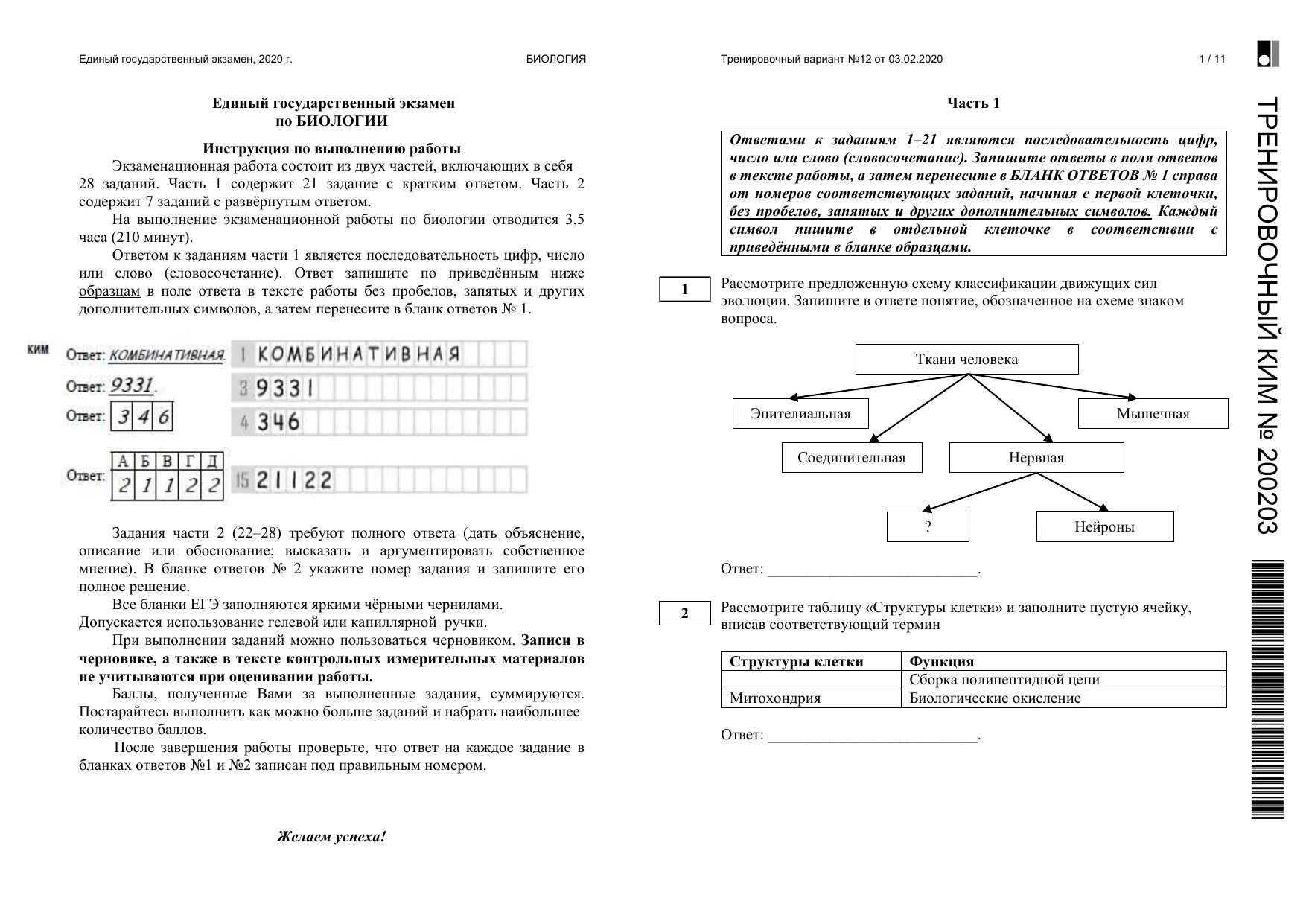 Тренировочный вариант 3 егэ биология. Экзамен по биологии ЕГЭ 2023. ЕГЭ биология 2020 ответы. Тесты ЕГЭ биология 2023.