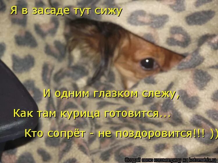 Фото поздоровится. Не поздоровится. Не поздоровится. Слова для поздоровится. Не поздоровится.