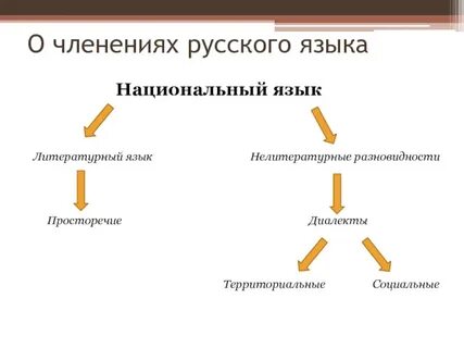 Национальный язык это общий язык