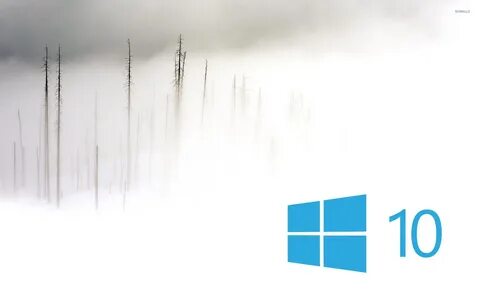 Виновато 10