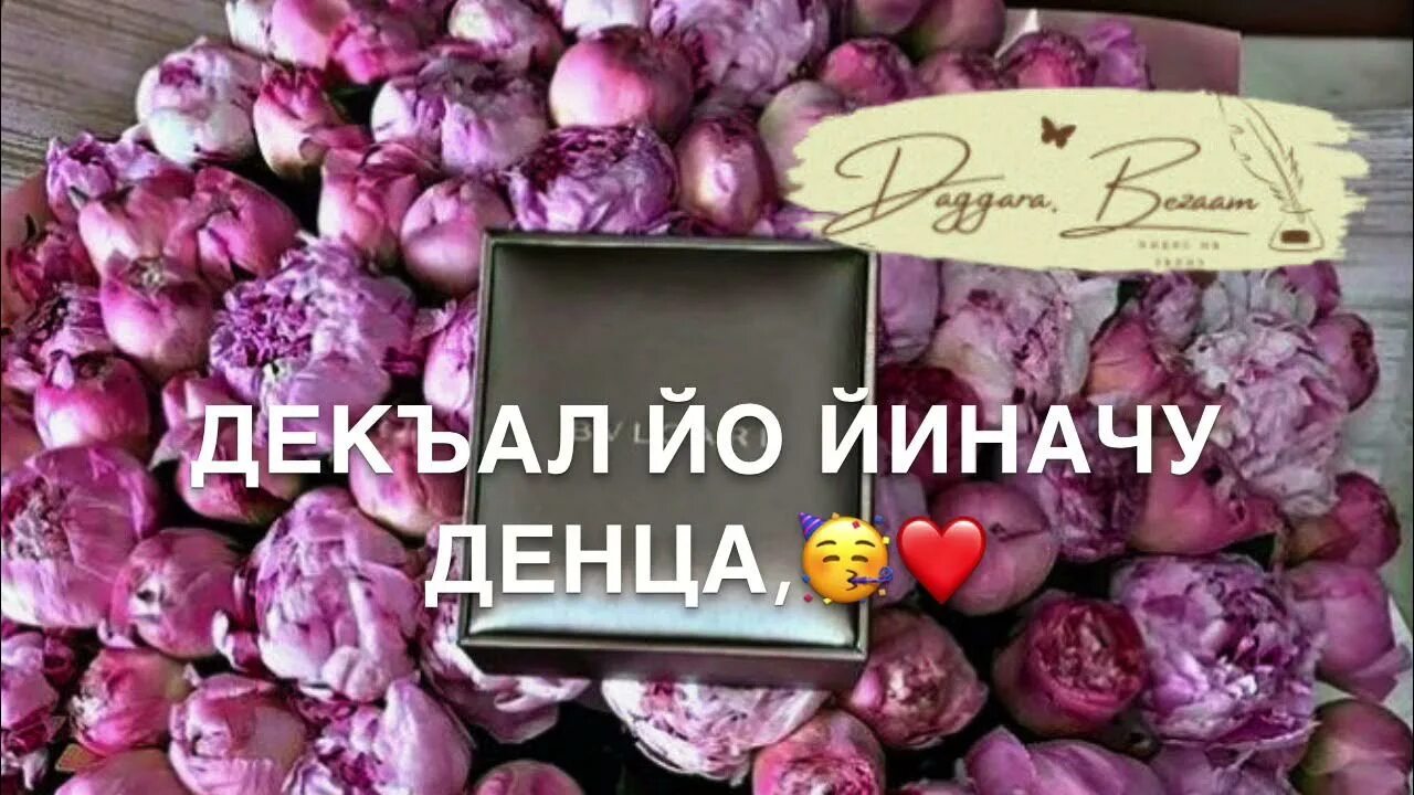 Нена йиша декъал йойла. Аллах1 декъал йойла хьо. дал декъал йойл хьо.