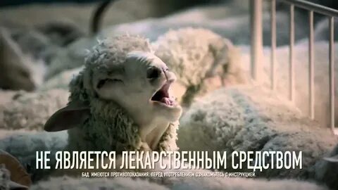Реклама барашки