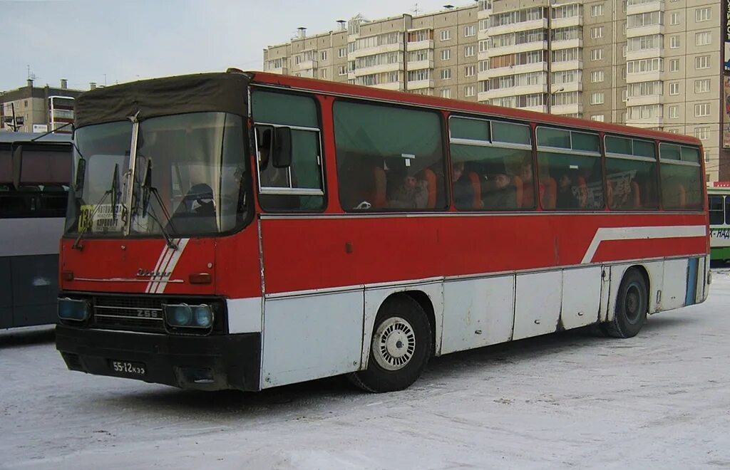 Икарус 256.54. Икарус 256 турист. Автобус Ikarus 256. Икарус 250-256. Автобус межгород красноярск