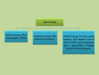 Презентация туралы