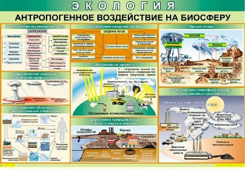 Отрицательное влияние человека на биосферу примеры