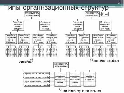 Простые и сложные организации