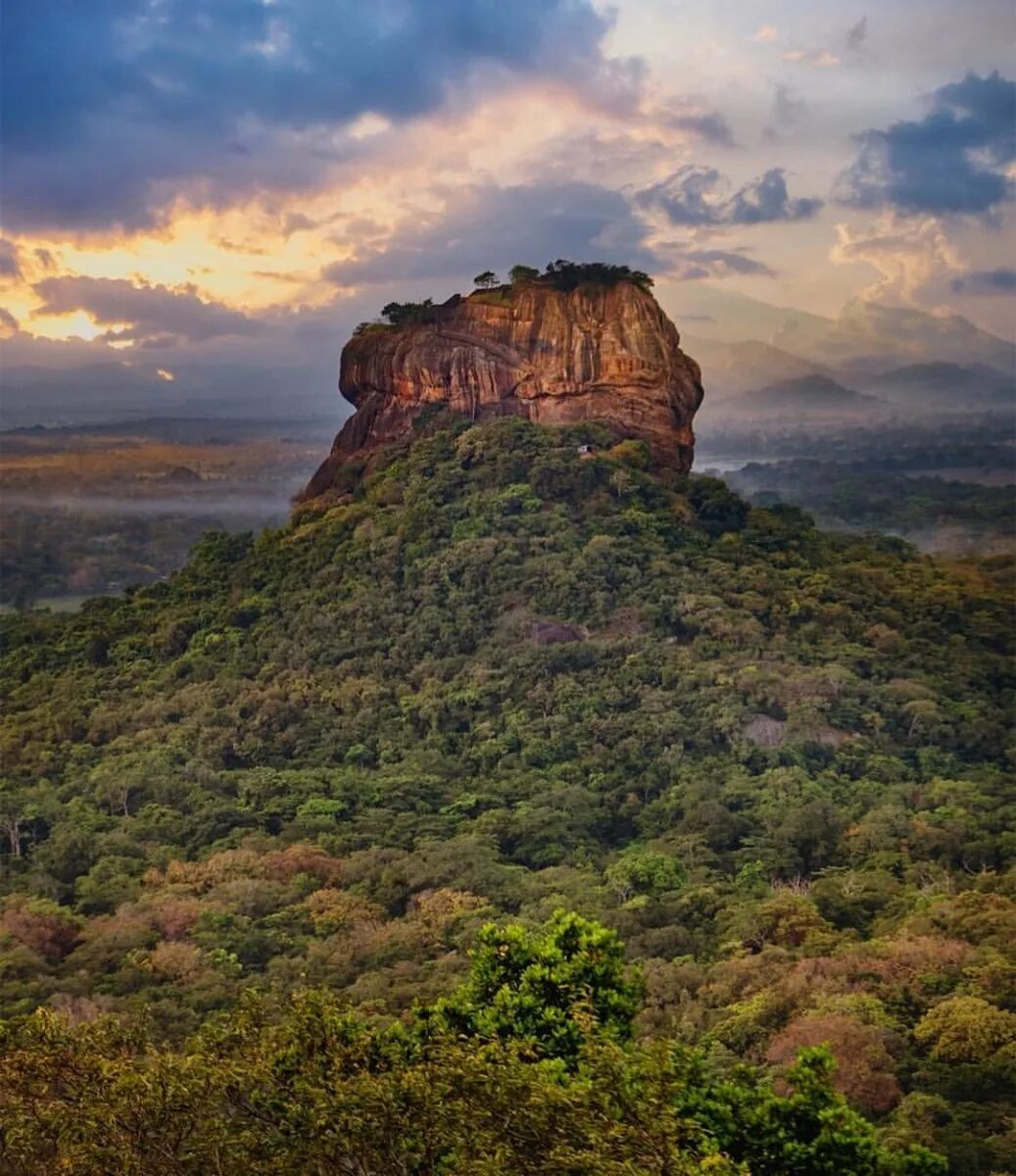 Шри Ланка гора Сигирия. Шри Ланка львиная скала. Львиная скала Сигирия. Львиная гора Шри Ланка.