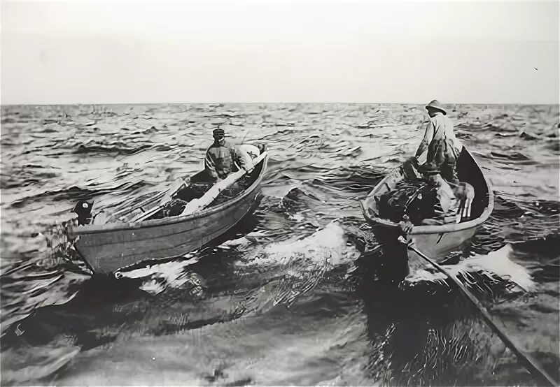 Банка шторм. Промысловые лодки 1900 года. Дори лодка с парусом. Катер дори. Португальская дори лодка.