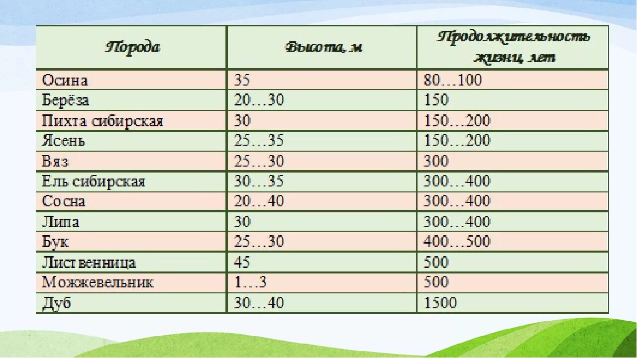 Продолжительность жизни деревьев 1