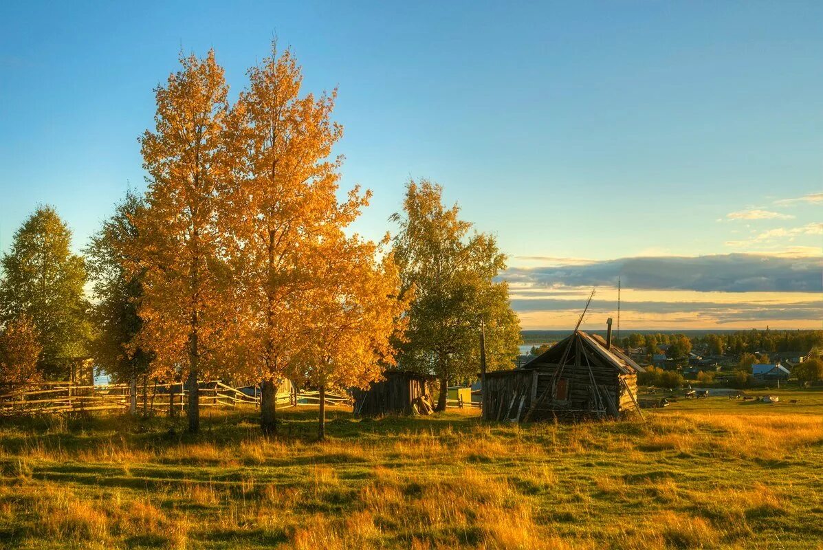 Русская осень. Смоленская деревня осень. Природа Печора Коми осень. Русский Север деревня осень. Деревня Бызовая Коми.