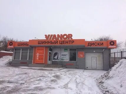 Вианор октябрьский