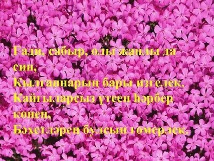 Олкэннэр коненэ сценарий татарча клубка 1 октябрь