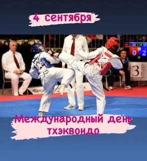 День тхэквондо