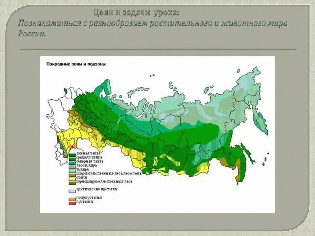 Осадки зон россии. Карта природных климатических зон РФ. Природно-климатические зоны России карта. Коэффициент увлажнения природных зон. Степи на карте России природных зон.