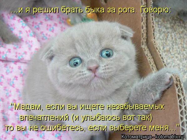 банковская инфографика. рекомендации по взятию кредита. взять решаться. жизнь в кредит и против презентация. жизнь в кредит за и против доклад.