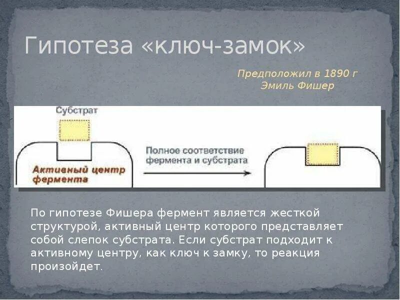 Гипотеза ключ замок биохимия. Теория ключ замок ферменты. Модель Фишера ключ замок. Теория Фишера ключ-замок.