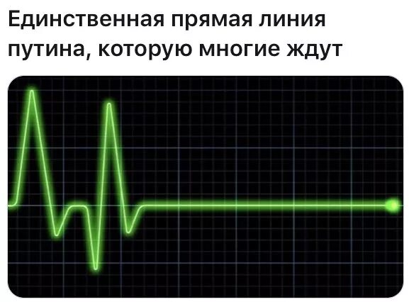 Мемы про прямую линию с путиным