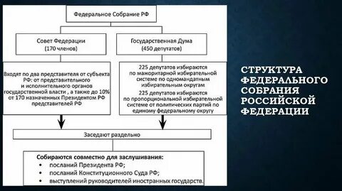 Органы образуемые палатами федерального собрания