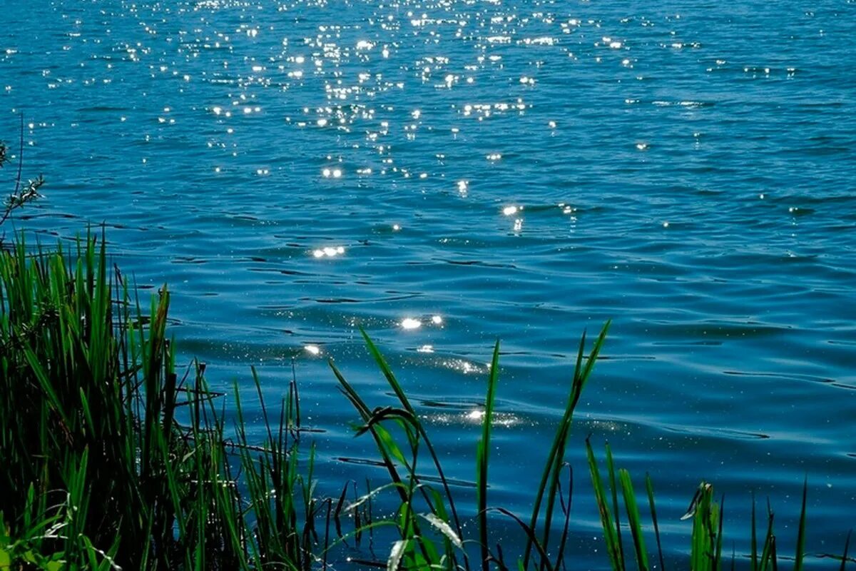 Вода выходит с реки. Гладь воды. Вода озеро. Озерная гладь. Вода река.