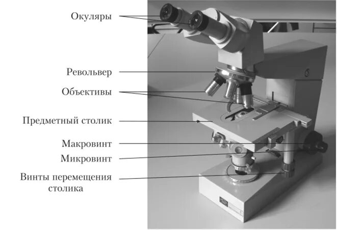 Строение микроскопа микровинт. Макровинт у светового микроскопа. Световой микроскоп строение макровинт. Строение микроскопа макровинт.