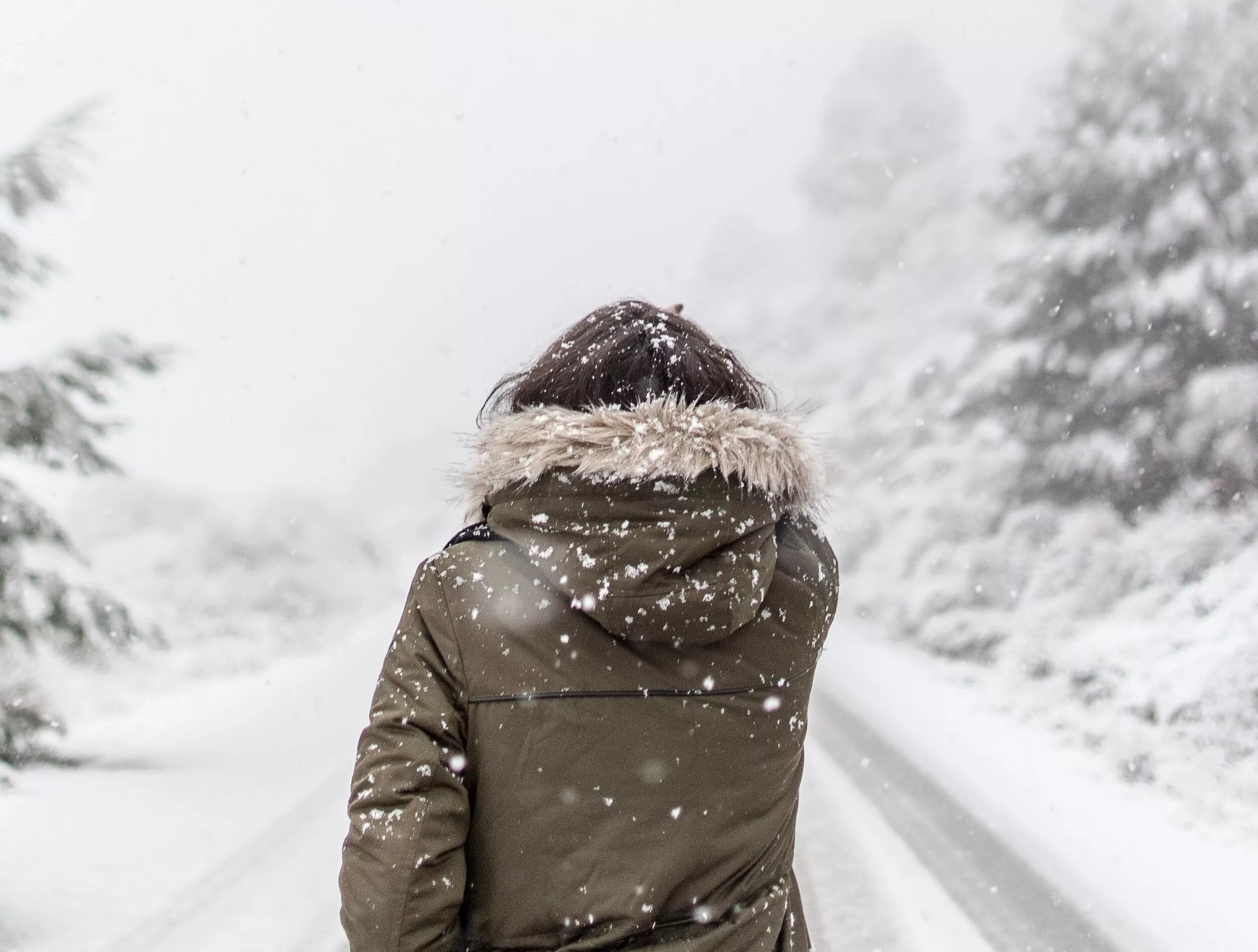 девушка с длинными волосами зимой. девушка зимой. брюнетка и снег. девушка со спины зимой на улице. девушка со спины зимой на улице.