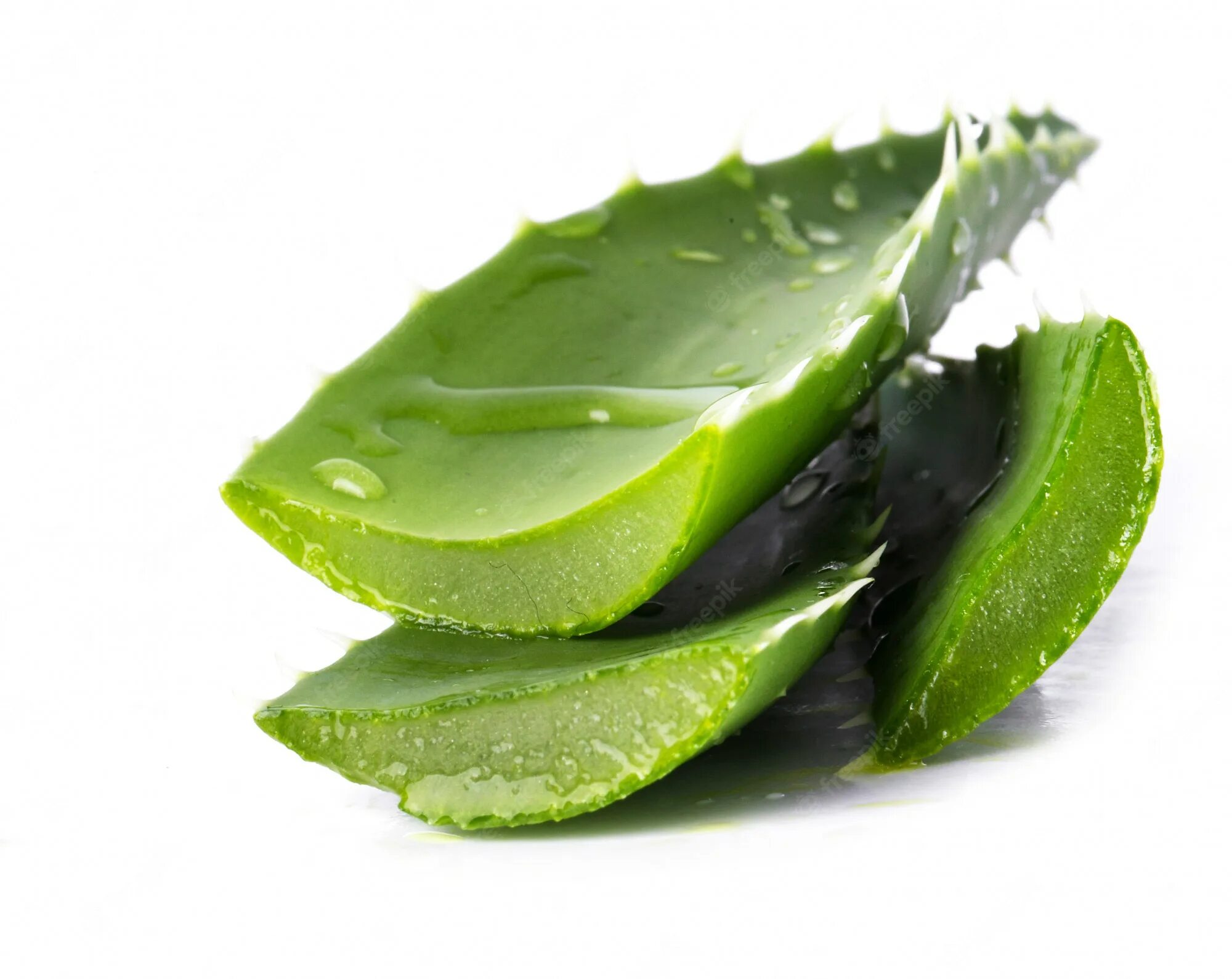 Aloe Vera. Aloe barbadensis Leaf Juice. Алоэ Vera. Алоэ гарипензис. Алоэ лед