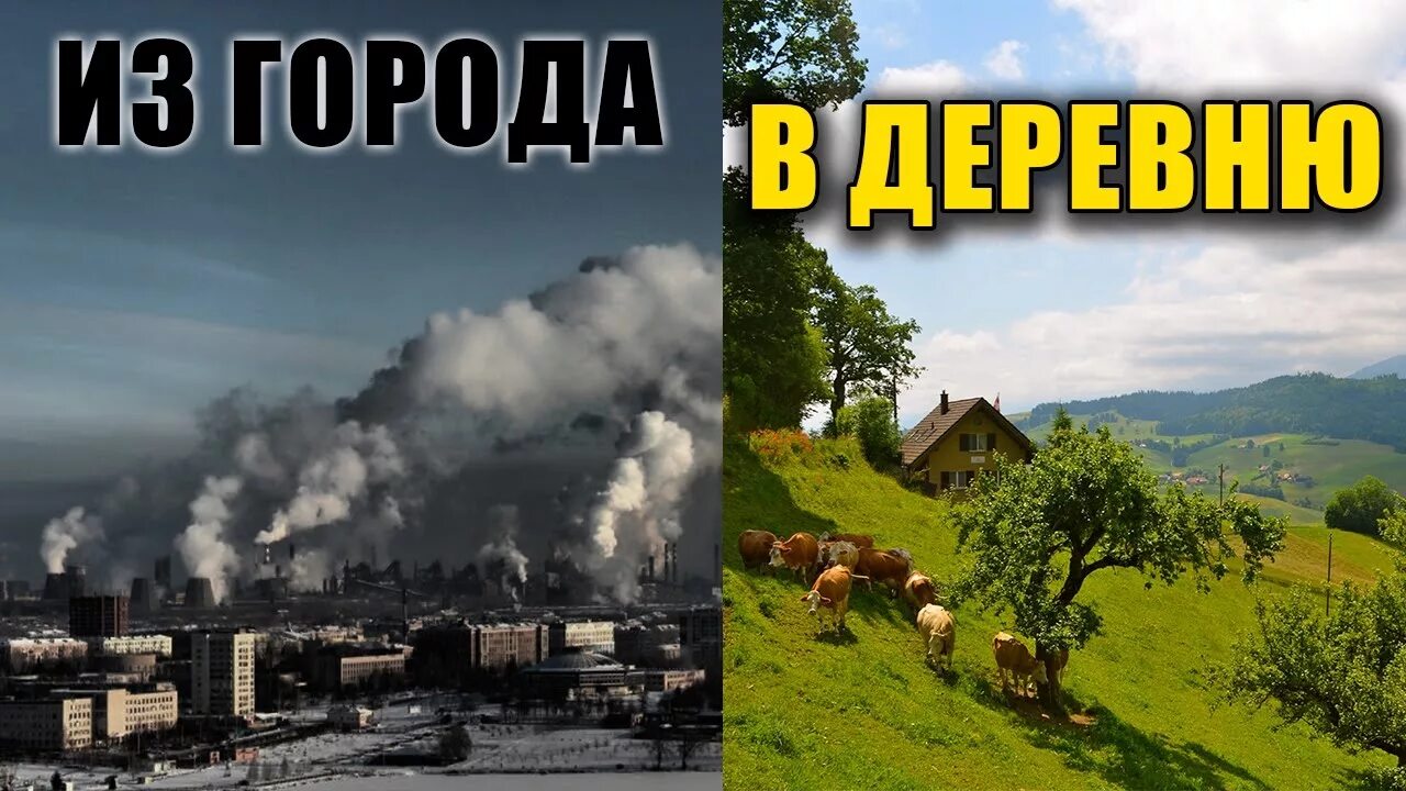 Почему деревня лучше города