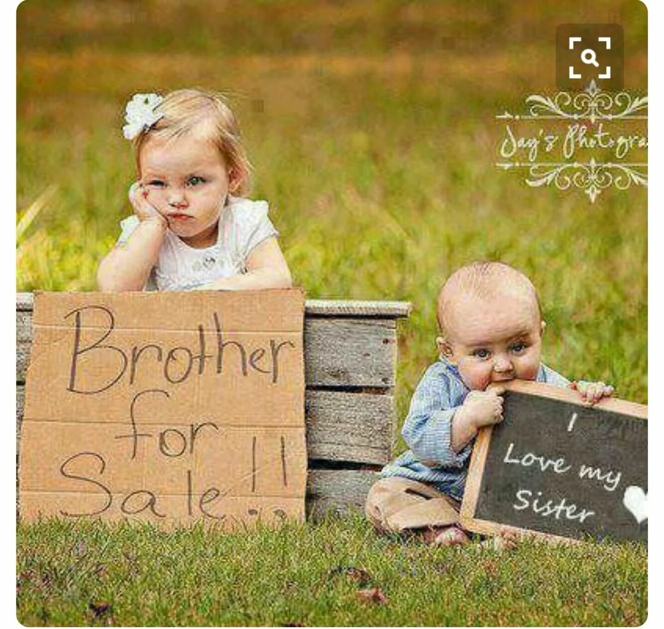 Sis fun. Big sister футболка. Sis fun. Смешная фотосессия брата и сестры. Proud brother.