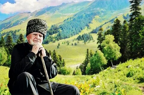 Кавказские старики
