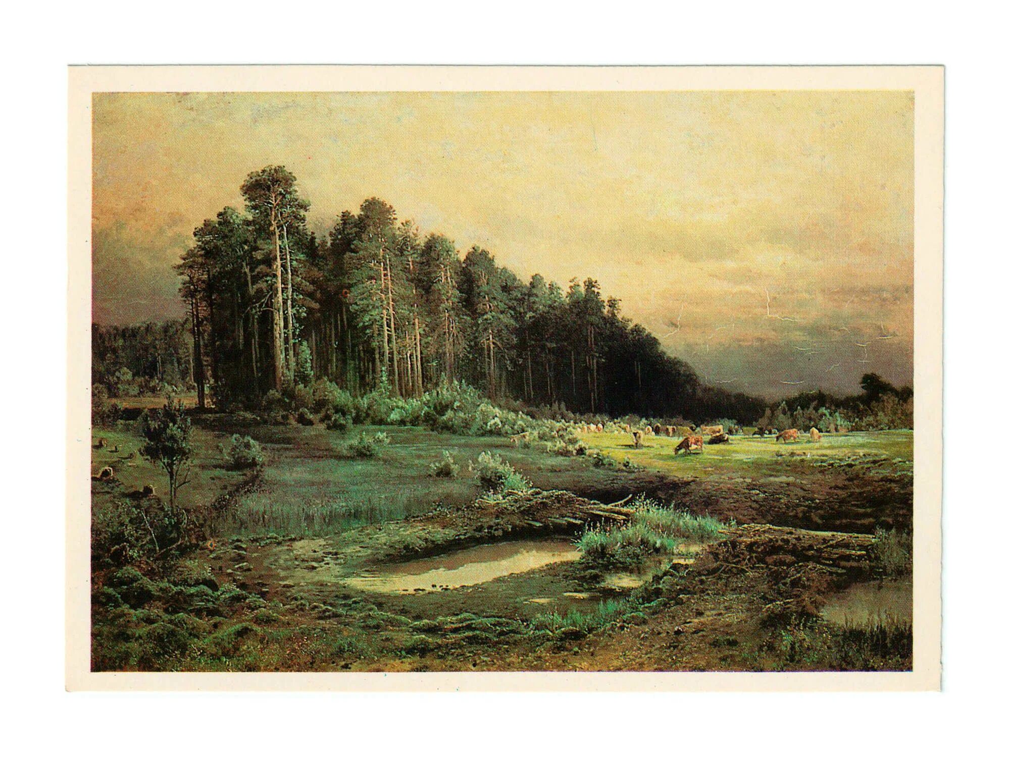 Лосиный остров в Сокольниках (1869). Саврасов Лосиный остров в Сокольниках. Лосиный остров в Сокольниках Саврасов картина.