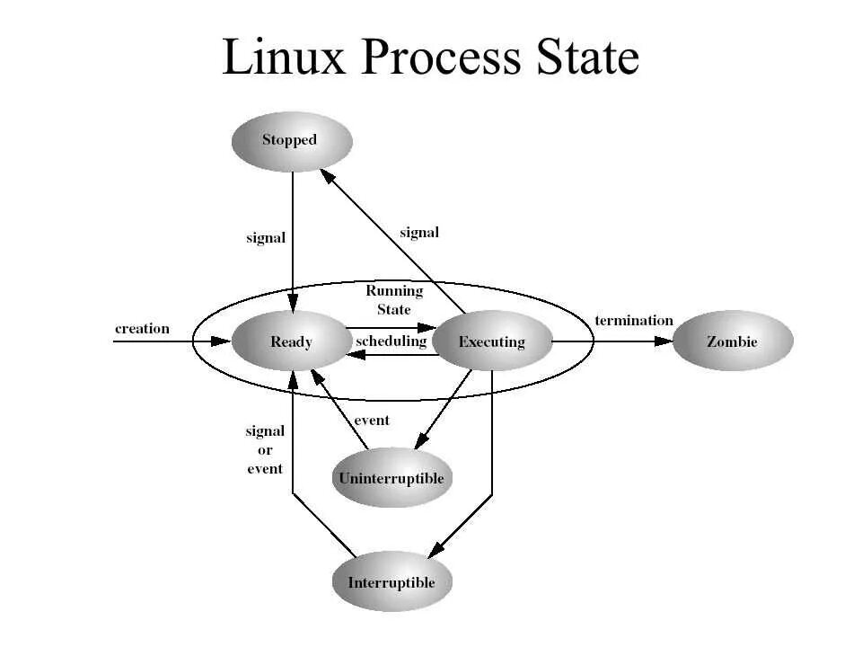 Схема состояний процесса линукс. Жизненный цикл процесса Linux. Состояния процессов в Linux. Состояния процесса в ОС Linux.