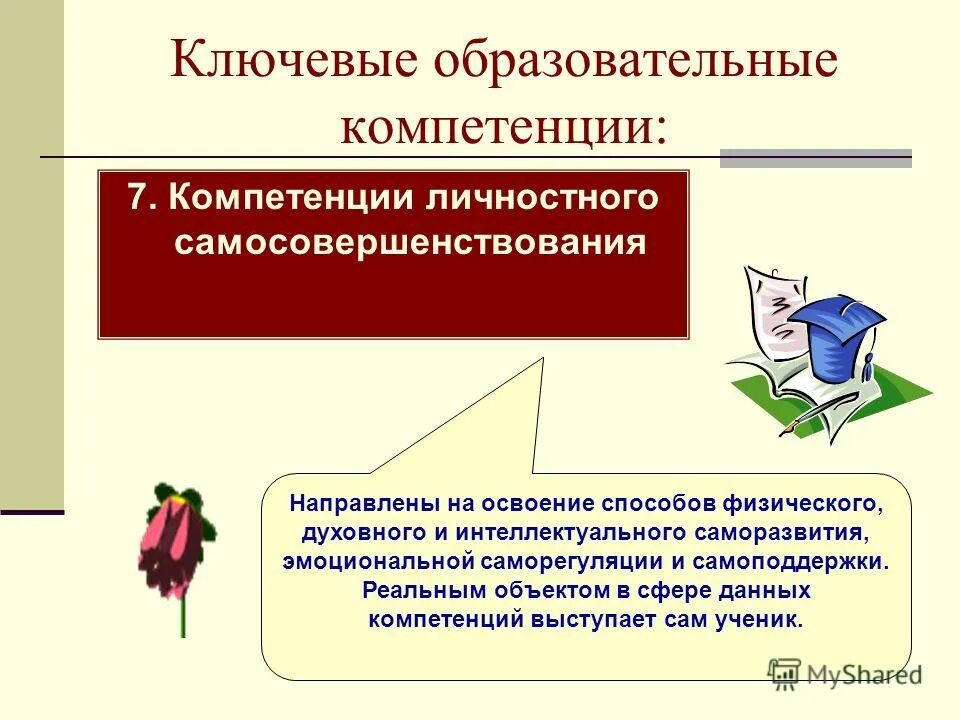 Общеобразовательные компетенции в образовании. Образовательные компетенции. Ключевые образовательные компетенции. Компетенция личностного самосовершенствования. Образовательные навыки.