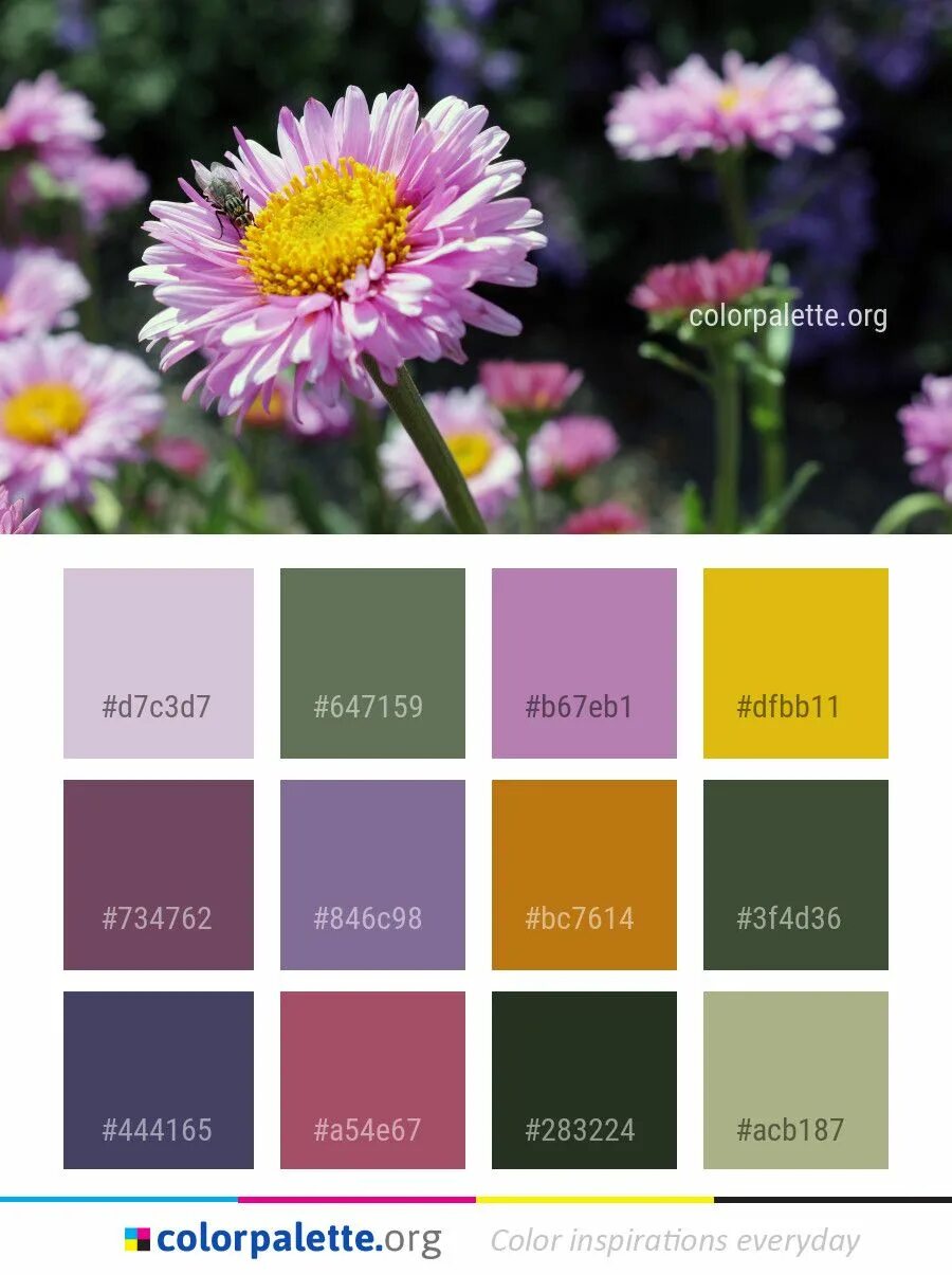 Колор романюк палитра. Красивые контрастные сочетания цветов. Цветовая палитра с названиями. Цветовой круг гете-освальда. Цветовые сочетания сеедс.