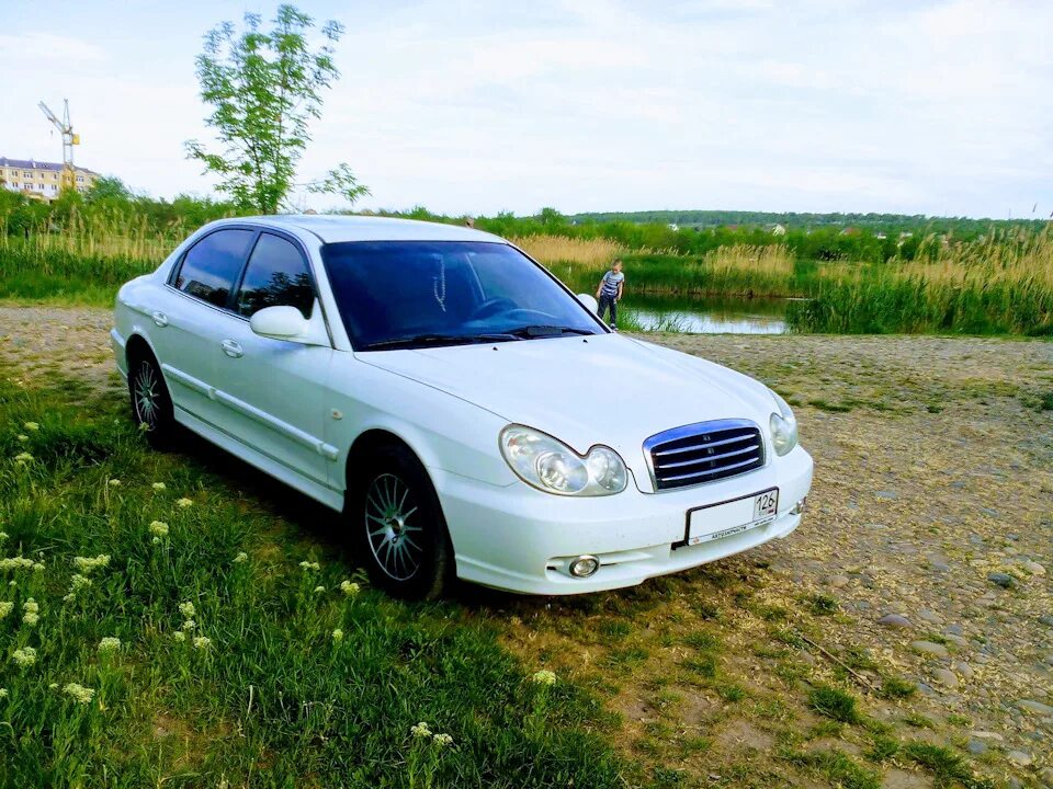 Sonata ef. Hyundai Sonata, 2005 белая. Хендай Соната 2005 белая. Хендай Соната 2008 белый. Хендай Соната 2006 белая.