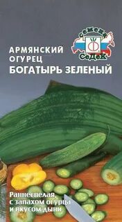 Армянская дыня огурец
