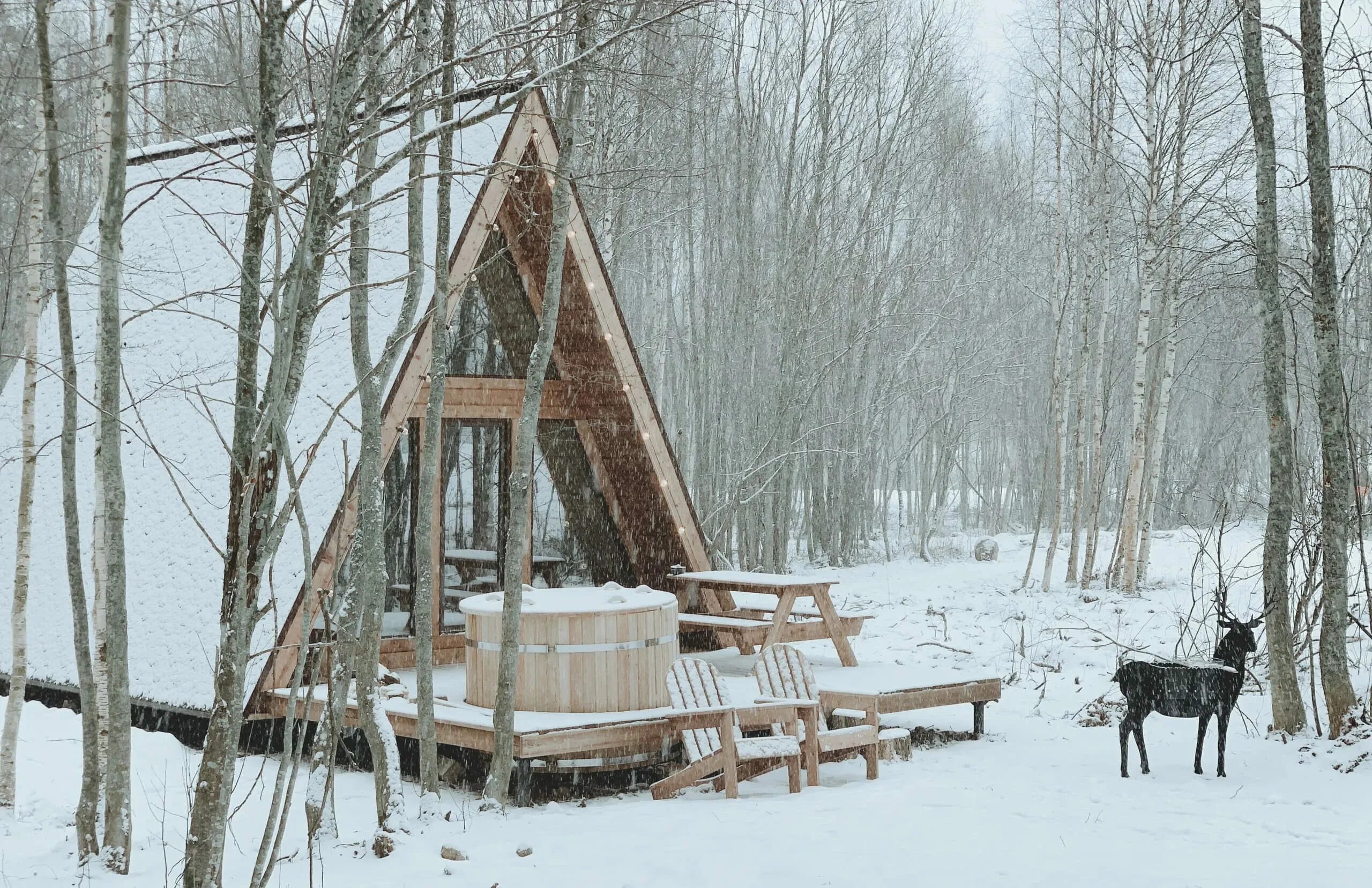 Глэмпинг шанти. Шанти хоум озеро. шанти озеро спб. shanti home спб домики озеро. глэмпинг shanti ozero.