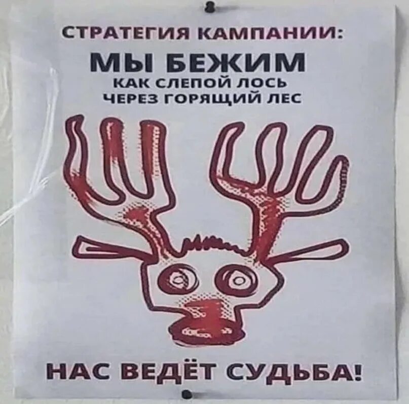 Она от нас сбежала. Стихи ольги дрожжиной христианские. Стихи дрожжиной в картинках. Невеста бежит. Интересные высказывания.