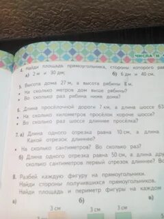 Высота березы 15м а рябины