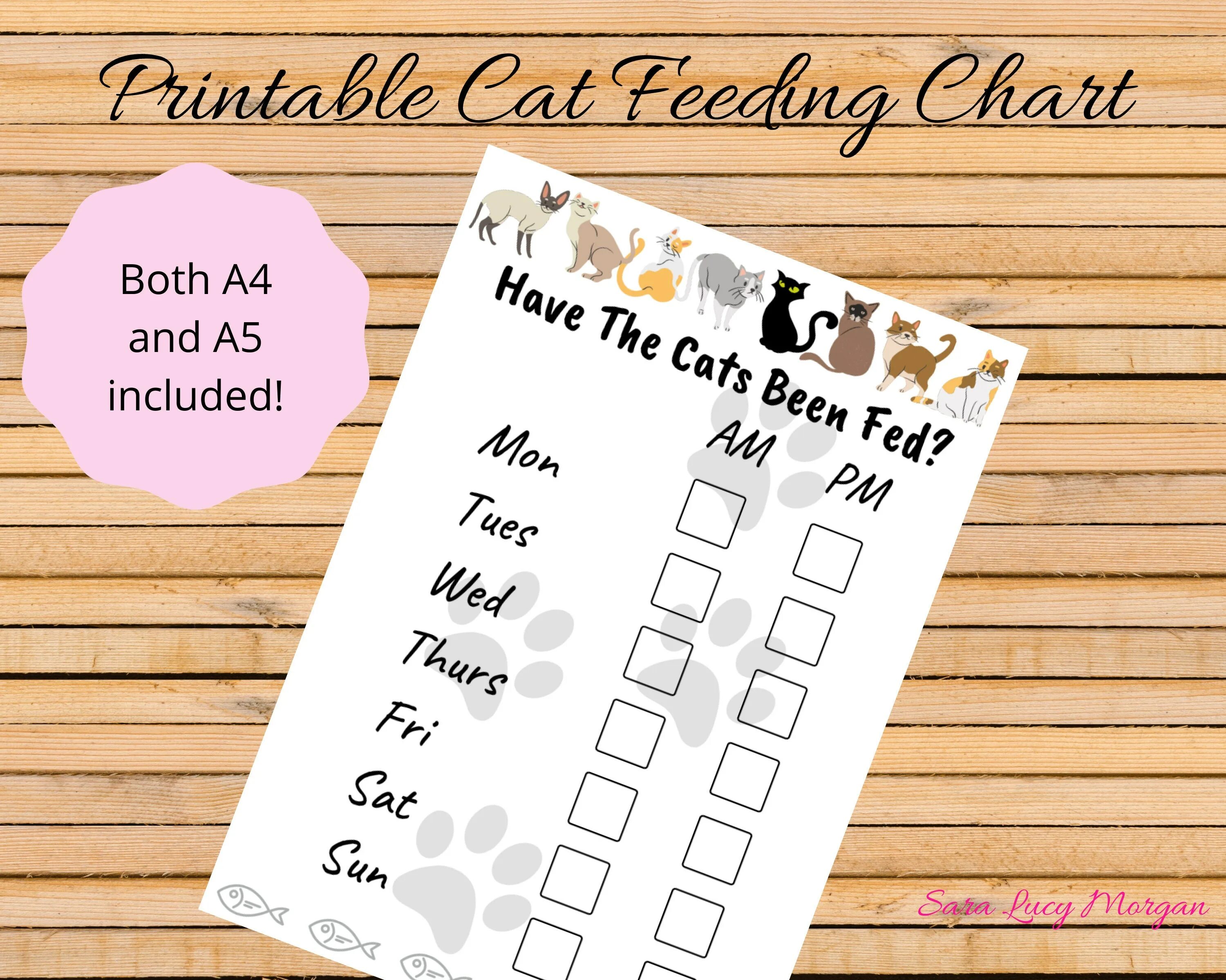 Did you remember feed the cat today. Cat feeding schedule. cat feeding schedule print.