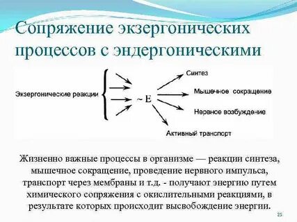 Жизненно важные процессы