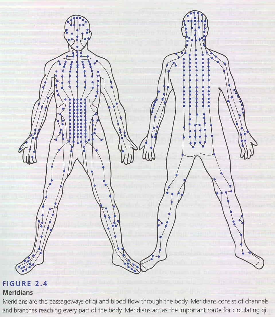 Каналы китайской медицины. Схема 12 меридианов акупунктуры. Меридианы Ци. 12 Энергетических меридианов человека. Меридиан человека схема энергетических каналов.