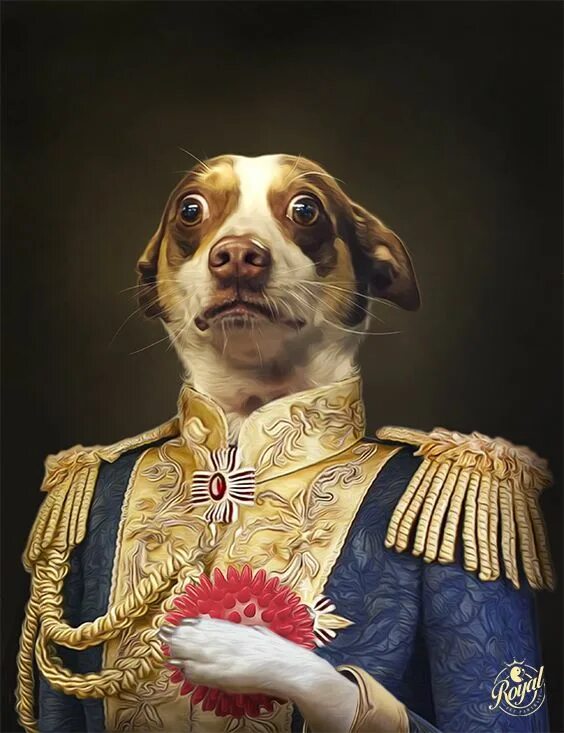 Royal pet. Фотомонтаж животных. Фотомонтаж животные. Royal Pet portrait. Ренессанс животные.