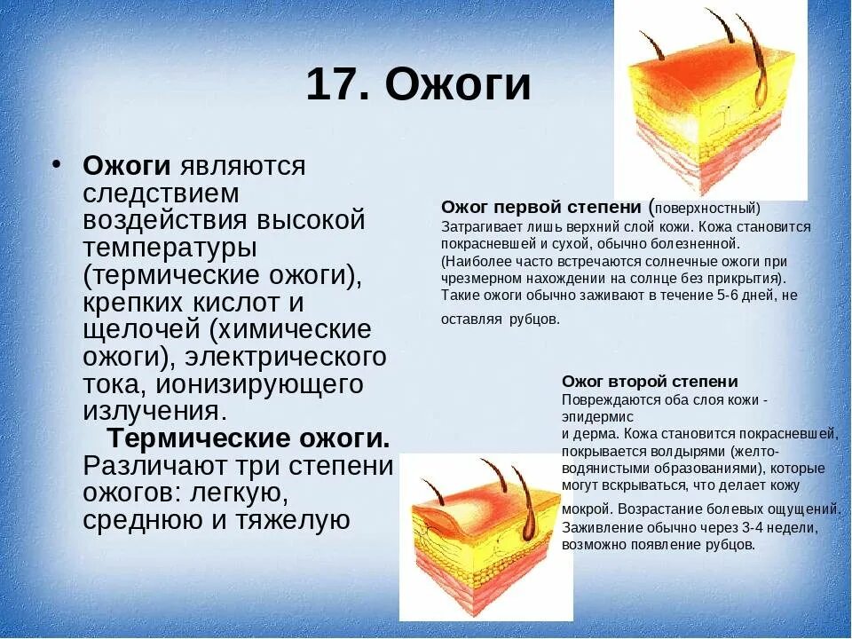 Какая жидкость в ожоге. Средства при термических ожогах.