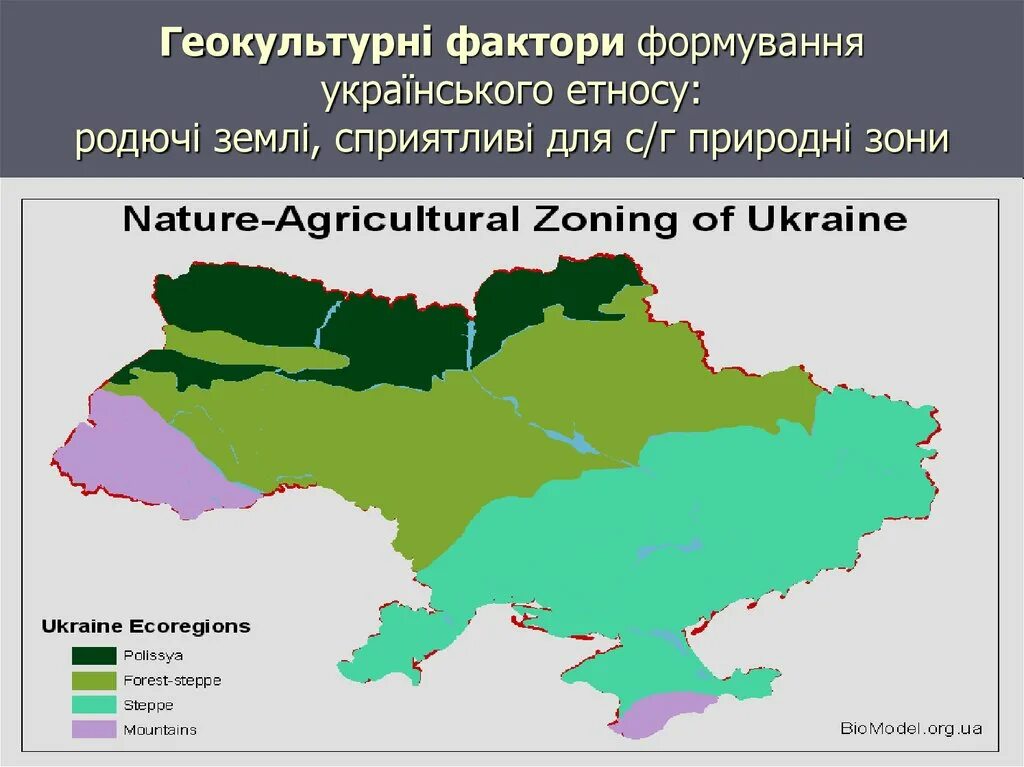 Зоны украины видео. Карта природных зон Украины. Зони України. Зоны в Украине география. 2. Природні зони України.