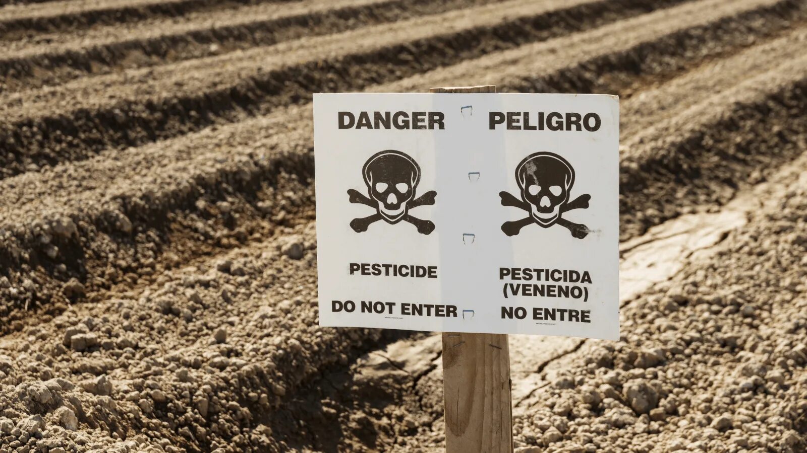Пестициды влияние на человека. Ядохимикаты в сельском хозяйстве. Пестициды в сельском хозяйстве. Пестициды в почве. Воздействие пестицидов на почву.